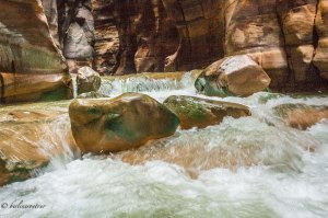 Wadi Mujib - Nationalpark