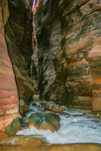 Wadi Mujib - Nationalpark
