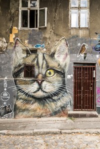 #Balkan #Belgrad #Donau #Sava #Nightlife #Altstadt #orthodox #Kirche #Zemun #Novi Beograd #Kalemegdan #Skadalija #Platz der Republik