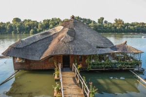 #Balkan #Belgrad #Donau #Sava #Nightlife #Altstadt #orthodox #Kirche #Zemun #Novi Beograd #Kalemegdan #Skadalija #Platz der Republik