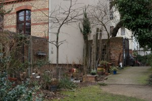 Kleingärten in den Hinterhöfen des Prenzlauer Bergs